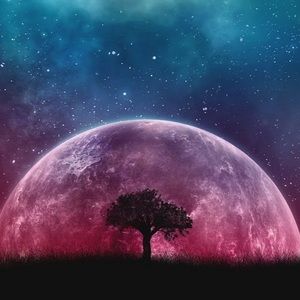 Meet your Posher, Kurt